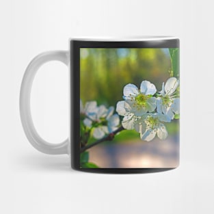 Cheery Blossoms Mug